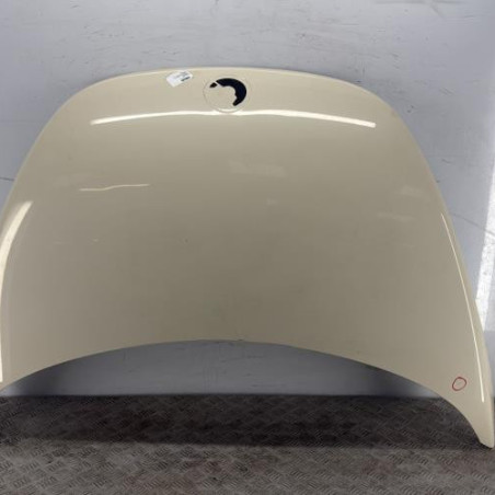 Capot VOLKSWAGEN NEW BEETLE 1