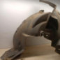 Pare boue avant droit RENAULT MASTER 3
