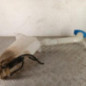 Vase de lave glace SEAT IBIZA 4