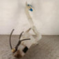 Vase de lave glace SEAT IBIZA 4