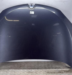 Capot RENAULT MEGANE 3 Photo n°1