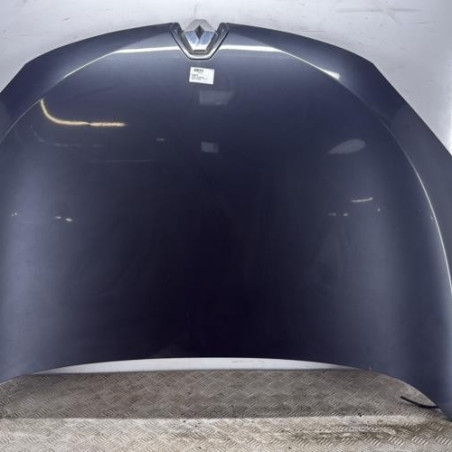 Capot RENAULT MEGANE 3 Photo n°1