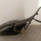 Retroviseur droit PEUGEOT 406