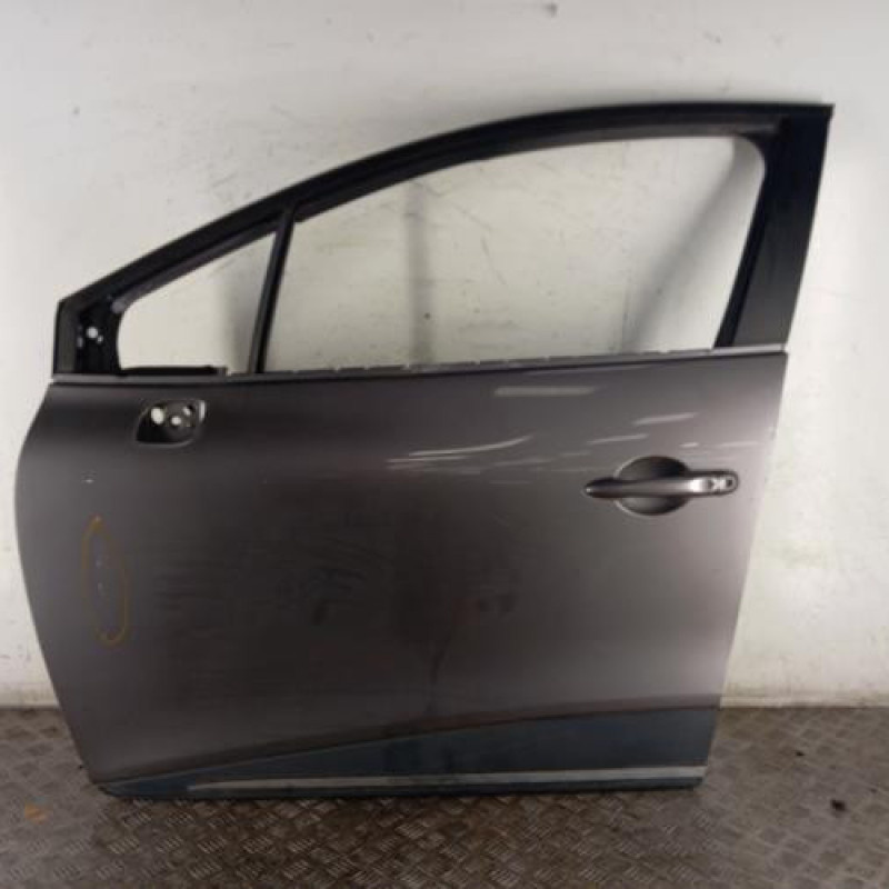 Porte avant gauche RENAULT CLIO 4