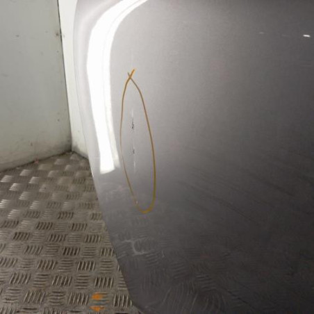 Porte avant gauche RENAULT CLIO 4