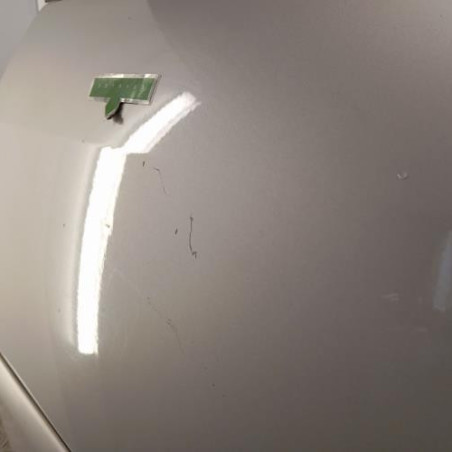 Porte arriere gauche RENAULT GRAND MODUS
