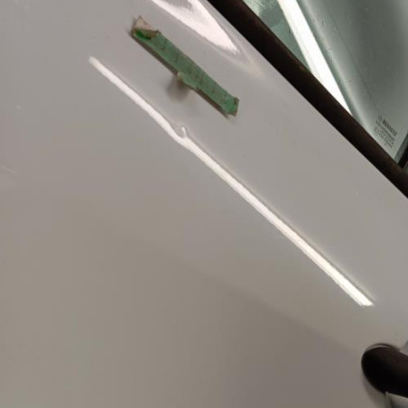 Porte arriere gauche RENAULT CLIO 3