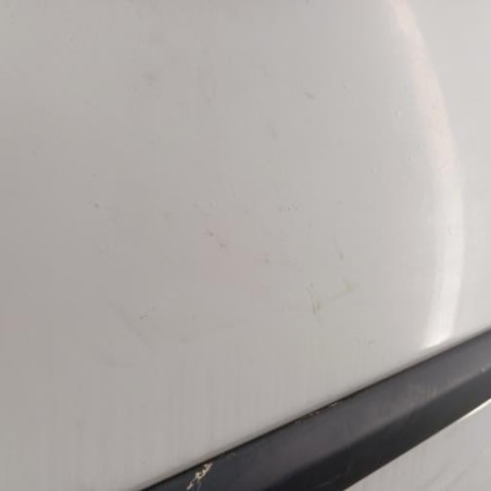 Porte avant gauche RENAULT CLIO 3