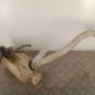 Vase de lave glace RENAULT KANGOO 2
