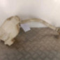 Vase de lave glace RENAULT KANGOO 2
