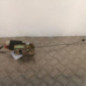 Serrure avant gauche CITROEN SAXO