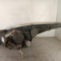 Optique avant principal droit (feux)(phare) PEUGEOT 5008 1