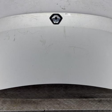 Capot RENAULT MASTER 3 Photo n°1