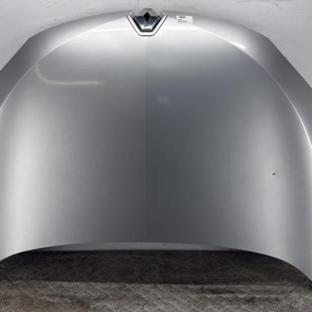 Capot RENAULT MEGANE 3 Photo n°1