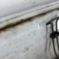Capot OPEL VIVARO 1