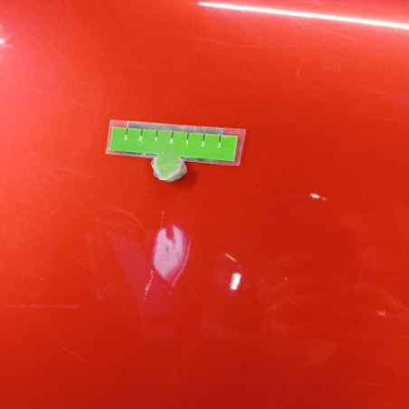 Porte arriere gauche CITROEN C3 1