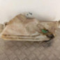 Vase de lave glace PEUGEOT 206