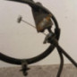 Serrure avant gauche PEUGEOT 207