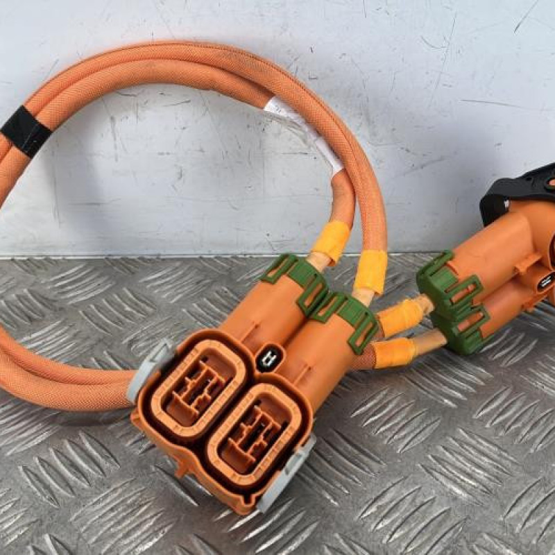 Faisceau (allumage) CITROEN DS5