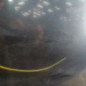 Porte avant droit OPEL INSIGNIA 1