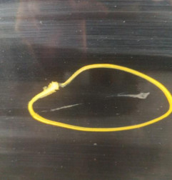Porte avant gauche OPEL INSIGNIA 1