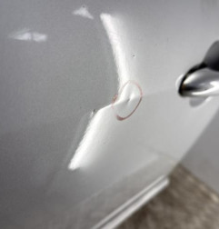 Porte avant gauche RENAULT LAGUNA 3 Photo n°3