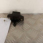 Serrure de hayon RENAULT CLIO 2