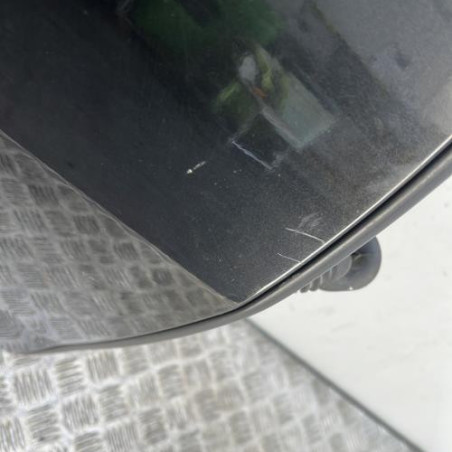 Porte arriere droit DACIA DUSTER 1