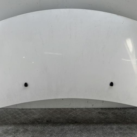 Capot CITROEN C3 2 Photo n°1
