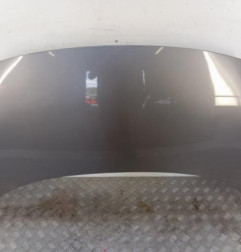 Capot RENAULT GRAND SCENIC 3 Photo n°1