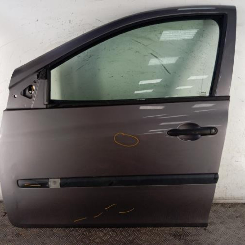 Porte avant gauche RENAULT CLIO 3