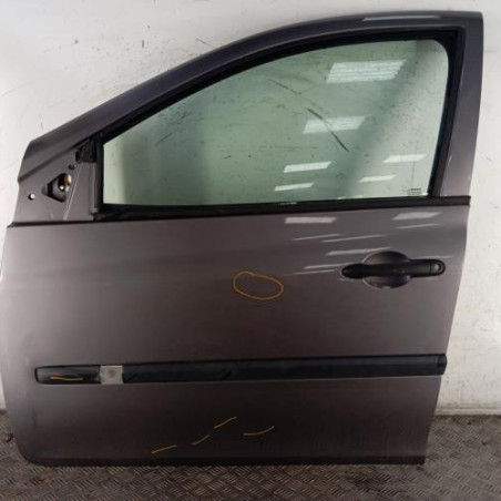 Porte avant gauche RENAULT CLIO 3 Photo n°1