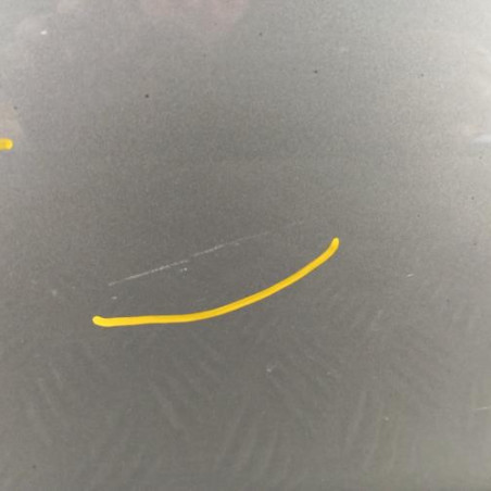 Porte avant gauche RENAULT CLIO 3
