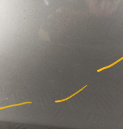 Porte avant gauche RENAULT CLIO 3 Photo n°3