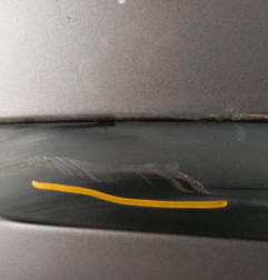 Porte avant gauche RENAULT CLIO 3 Photo n°5