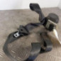 Ceinture avant droit CITROEN BERLINGO 1