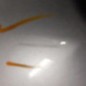 Pare choc avant PEUGEOT 207