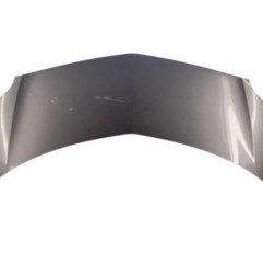 Capot RENAULT GRAND MODUS Photo n°1