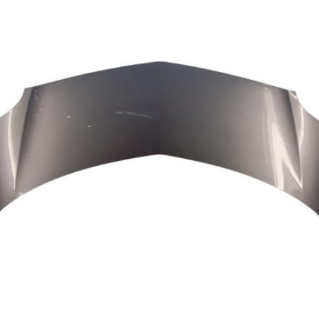 Capot RENAULT GRAND MODUS Photo n°1