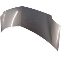 Capot RENAULT GRAND MODUS Photo n°3