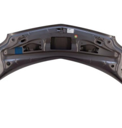 Capot RENAULT GRAND MODUS Photo n°4