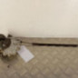 Serrure avant droit SEAT LEON 2
