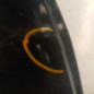 Porte arriere droit RENAULT MEGANE 3