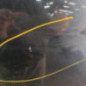 Porte arriere droit RENAULT MEGANE 3