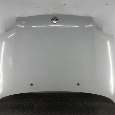 Capot RENAULT CLIO 2 Photo n°1