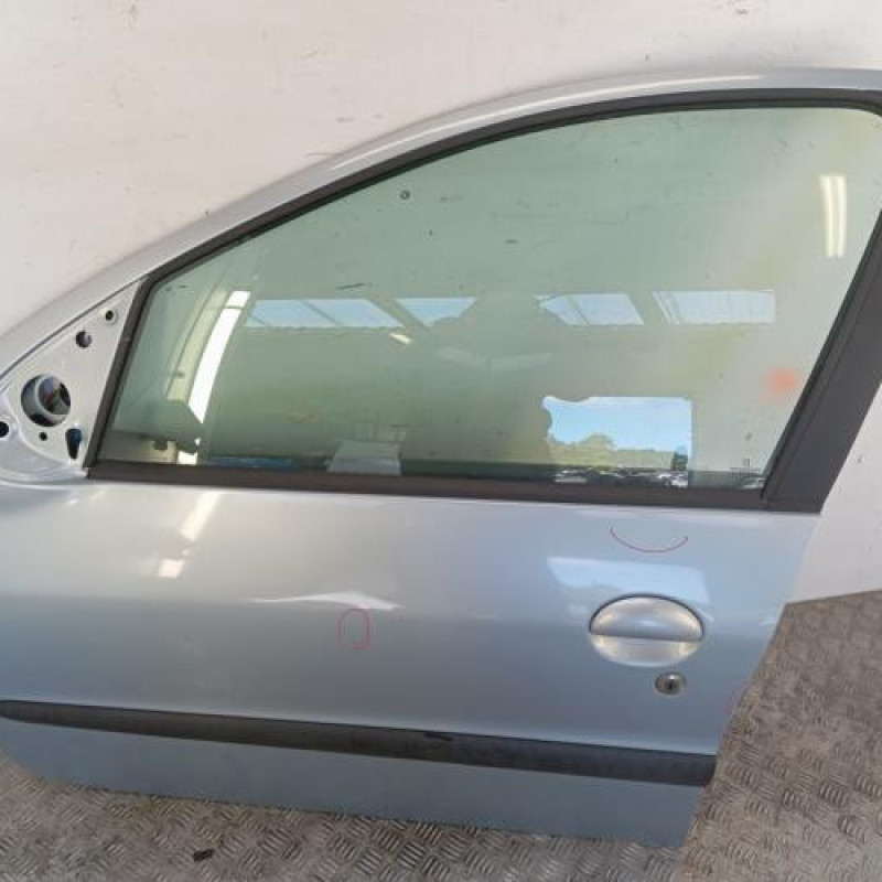 Porte avant gauche PEUGEOT 206