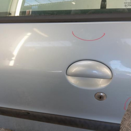 Porte avant gauche PEUGEOT 206