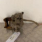 Etrier arriere gauche (freinage) VOLKSWAGEN SHARAN 2