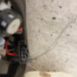 Feu arriere secondaire gauche (feux) VOLKSWAGEN TIGUAN 1