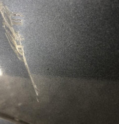 Porte arriere gauche RENAULT MEGANE 4 Photo n°4